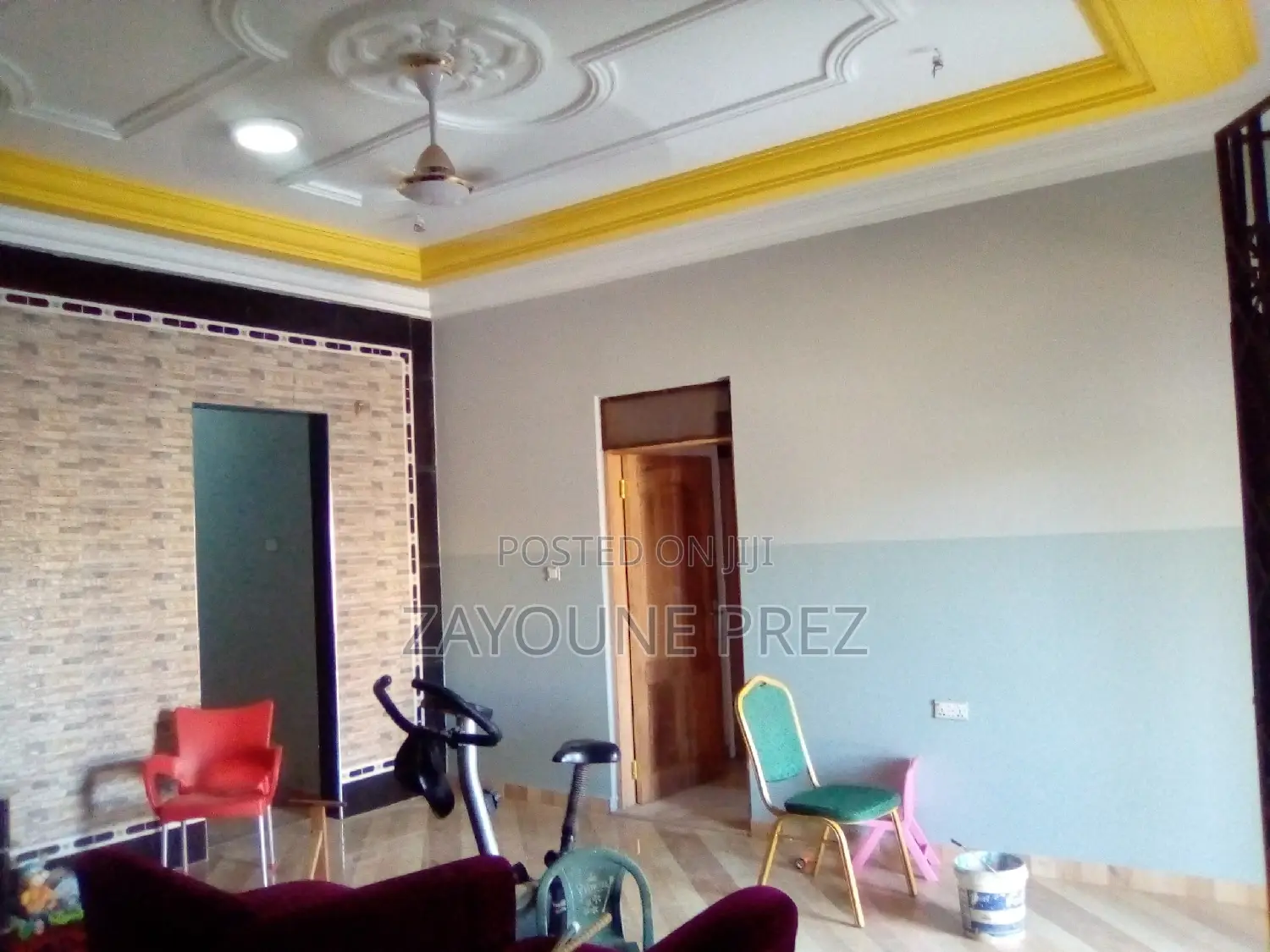 Professional Painters