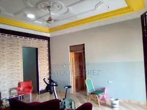 Professional Painters
