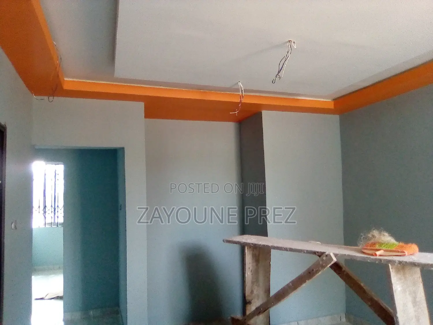 Professional Painters
