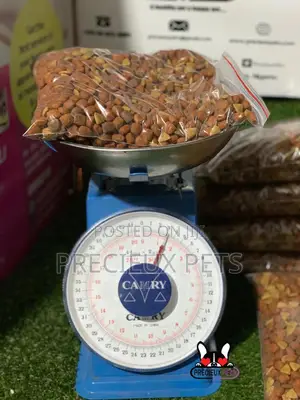 Rebagged Dog Chow for Cats and Dogs