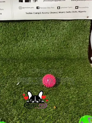 Lightening Ball Like Toys for Dogs