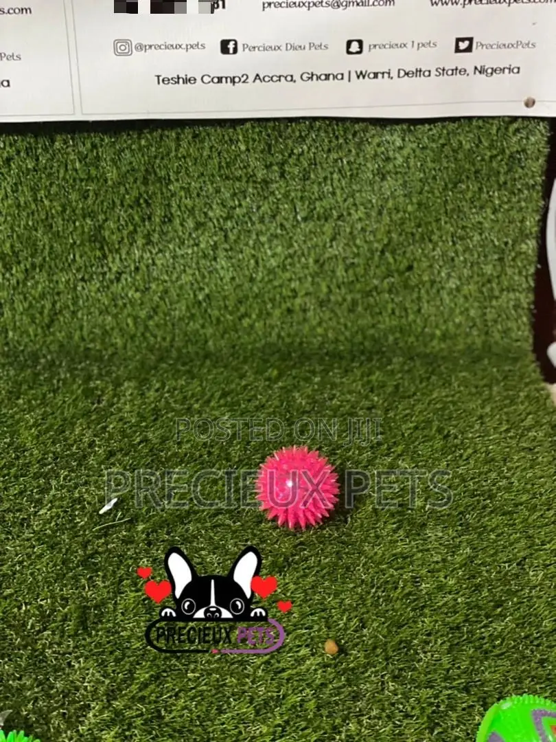 Lightening Ball Like Toys for Dogs