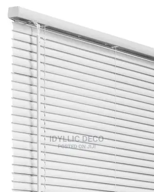 Fastidious Window Blinds
