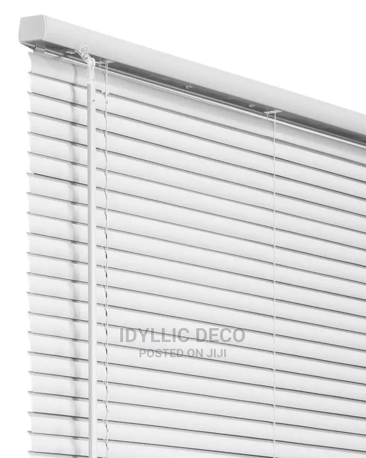 Fastidious Window Blinds