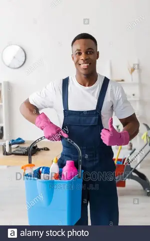 We Cleans House Working Places