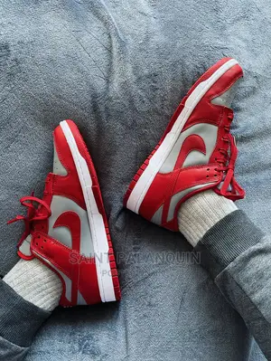 Nike SB All Colors
