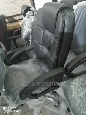 Lumbar Support Arms Ex