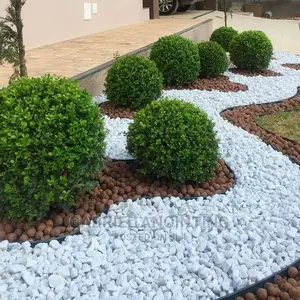 Gardens and Cleaning