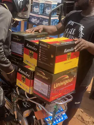 German Car Batteries 15