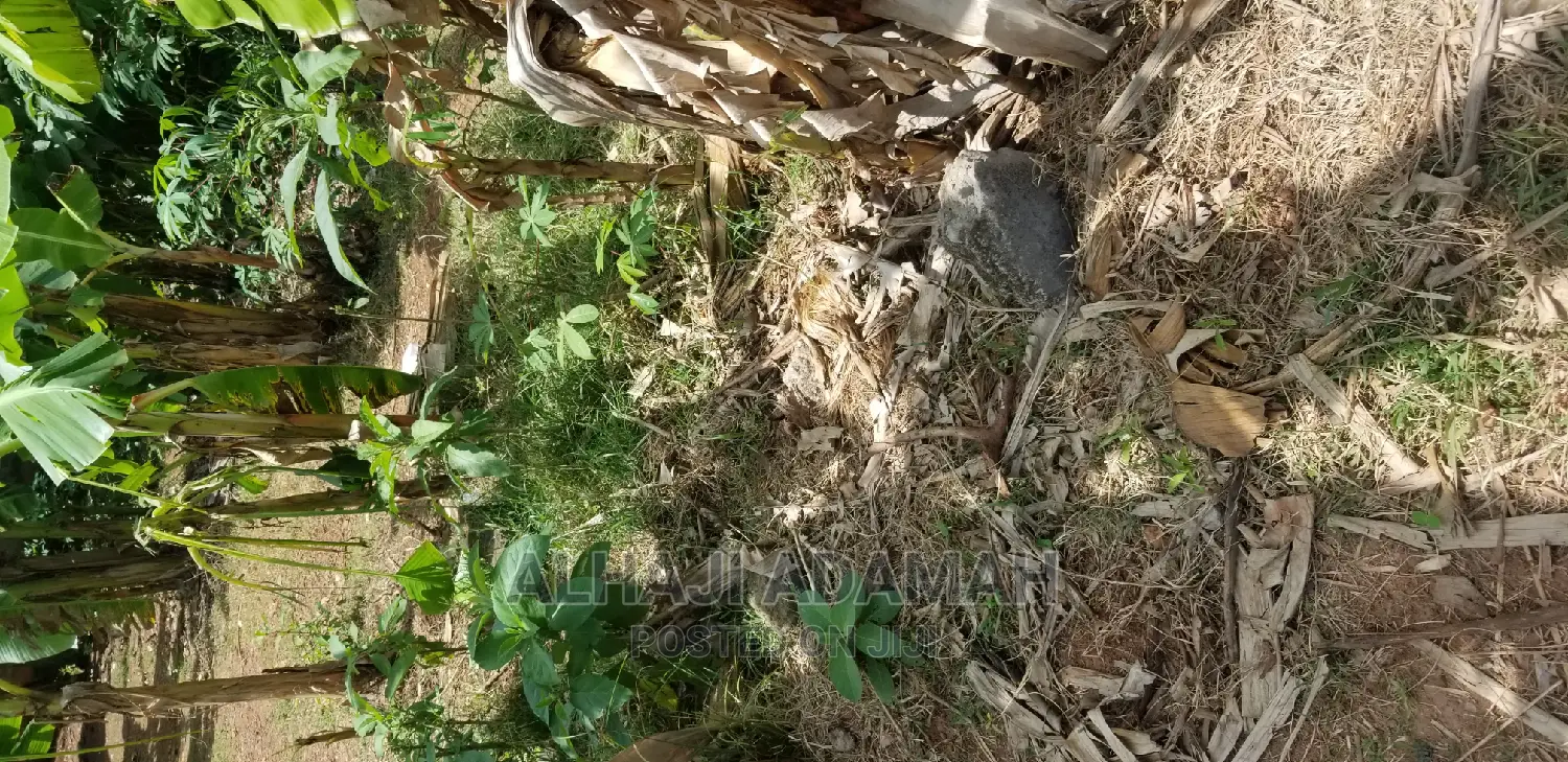 Land for Sale at Santasi Darko
