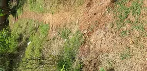 Land for Sale at Santasi Darko