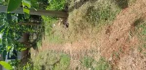 Land for Sale at Santasi Darko