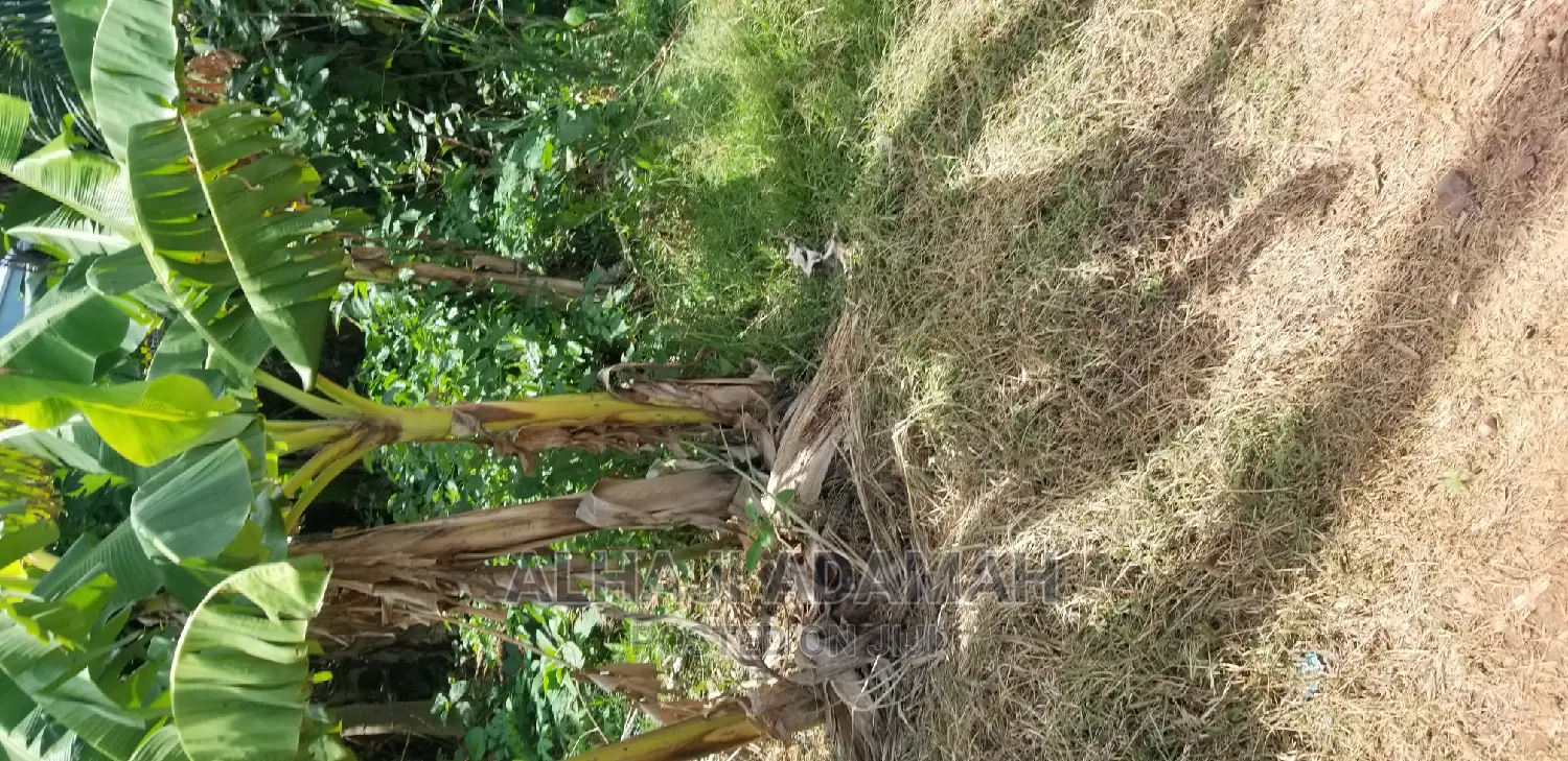 Land for Sale at Santasi Darko