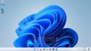 WINDOWS 11/10/8.1/7 Installation