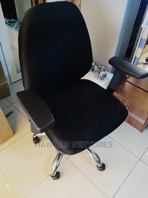WFH Posture Chair