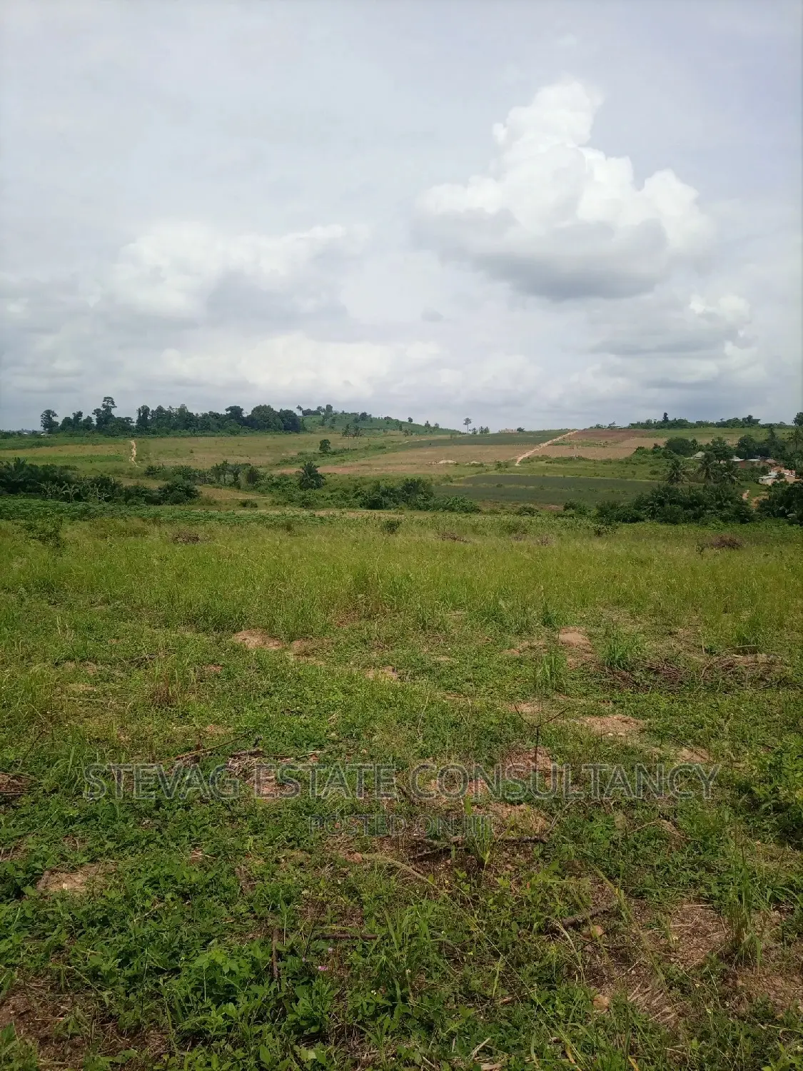 Alpha Properties Land for Sale at Amasaman Ashifla