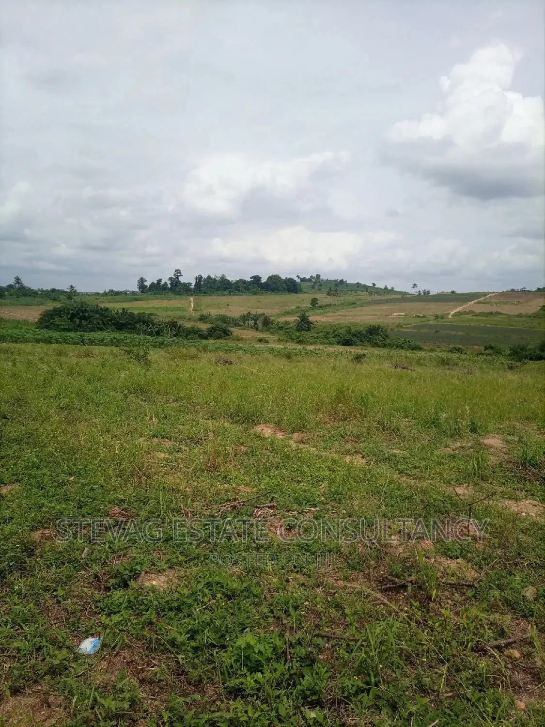 Alpha Properties Land for Sale at Amasaman Ashifla