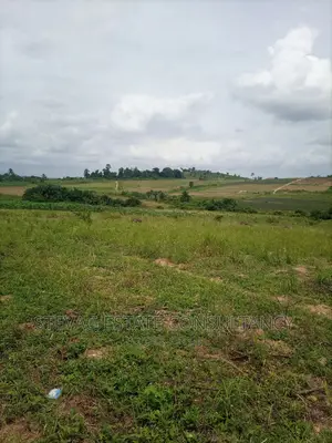 Alpha Properties Land for Sale at Amasaman Ashifla