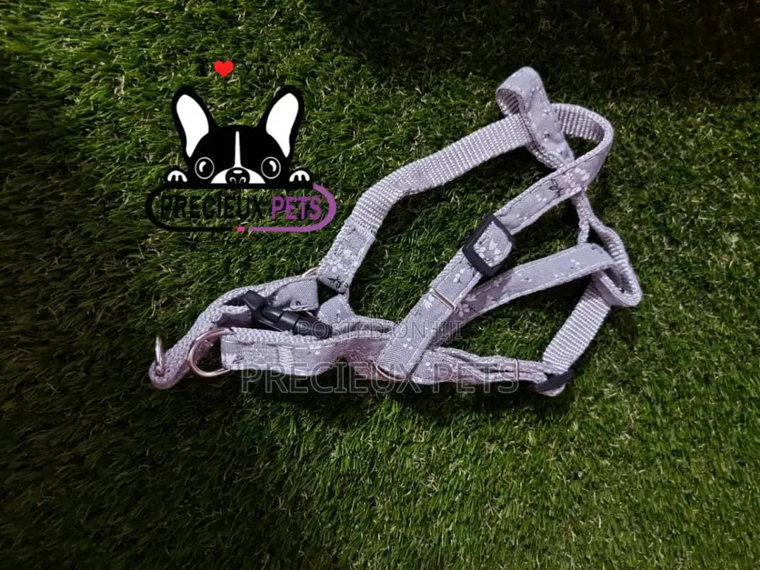 Dogs Harness Serial No. 2021/0004