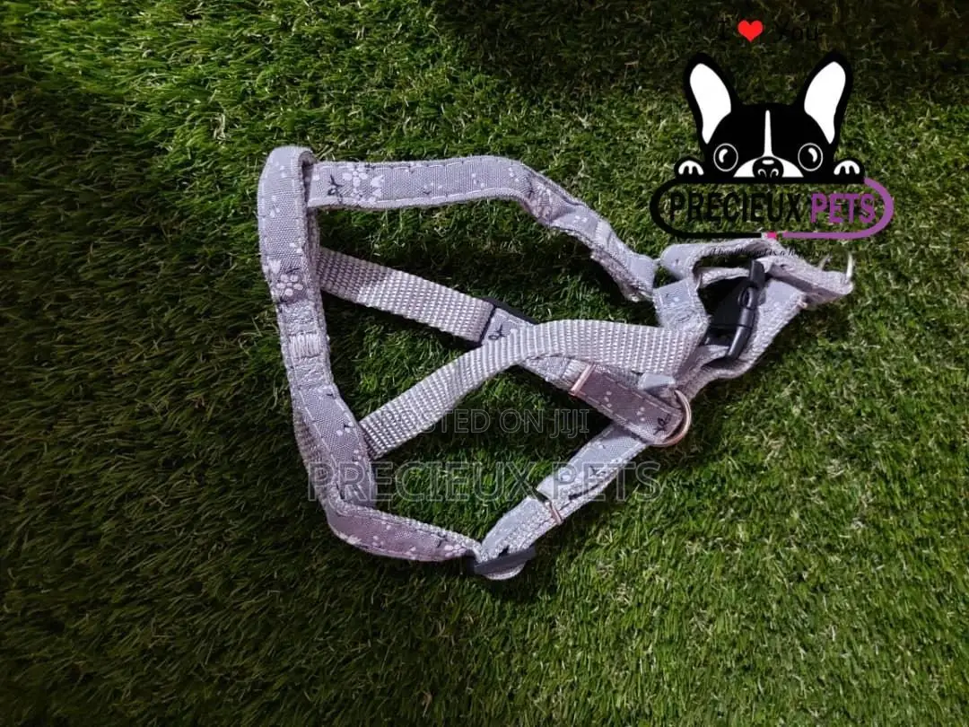 Dogs Harness Serial No. 2021/0004