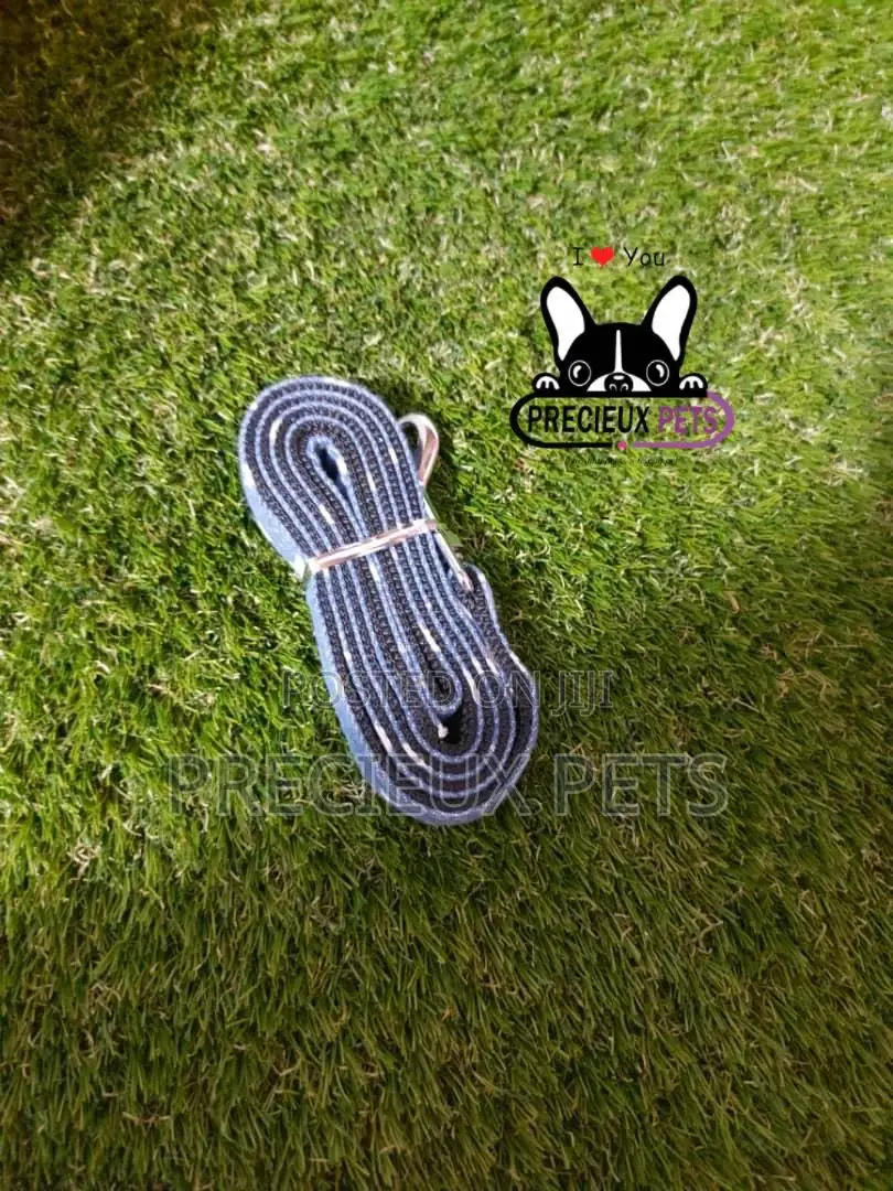 Dogs Harness Serial No. 2021/0005