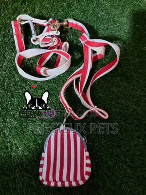 Dogs Harness Serial No. 2021/0006