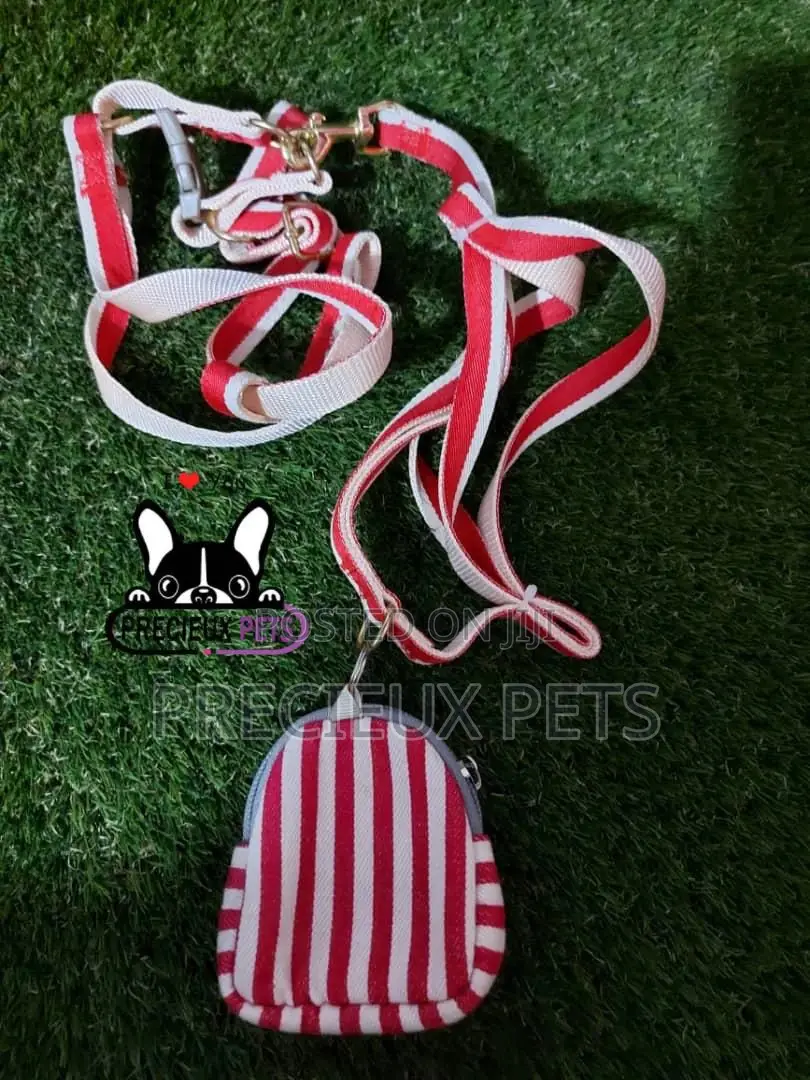 Dogs Harness Serial No. 2021/0006