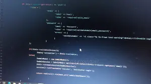 Agile Software/Website Developer
