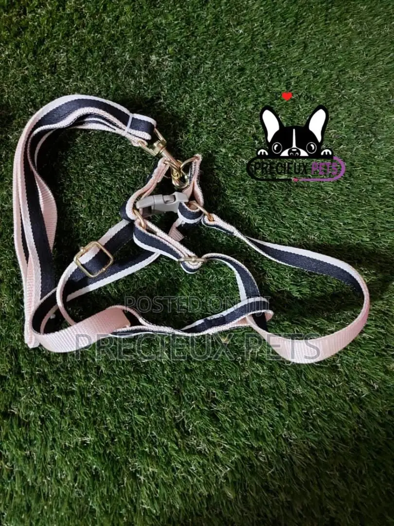 Dogs Harness Serial No. 2021/0009