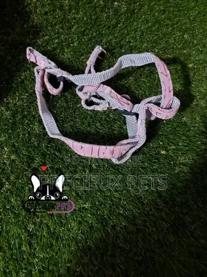 Dogs Harness Serial No. 2021/0009
