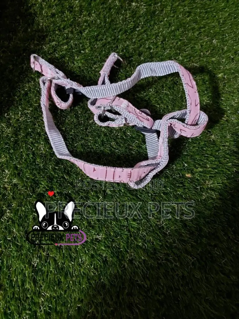Dogs Harness Serial No. 2021/0009