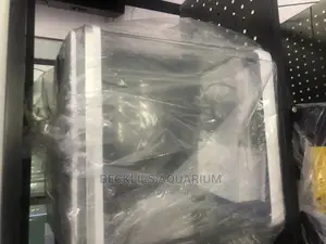 Mini Aquarium