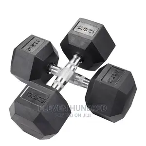 Dumbbells (12.5kg PAIR)