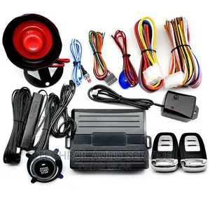 Passive Keyless Entry System With Alarm