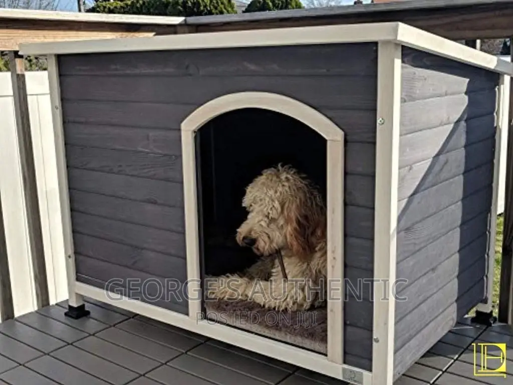 Dog Kernel For Sale