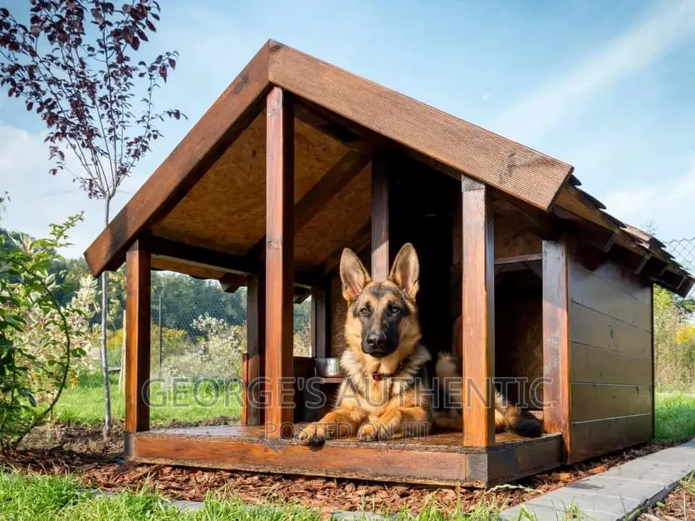 Dog Kernel For Sale