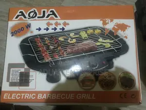 Electric Barbecue Grill