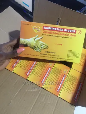 Examination Lightly Powdered Gloves