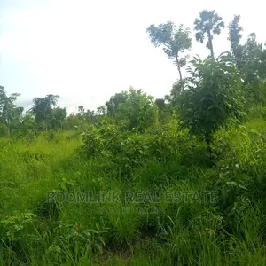 Negotiable Large Acres of Farmlands at Kintampo for Sale