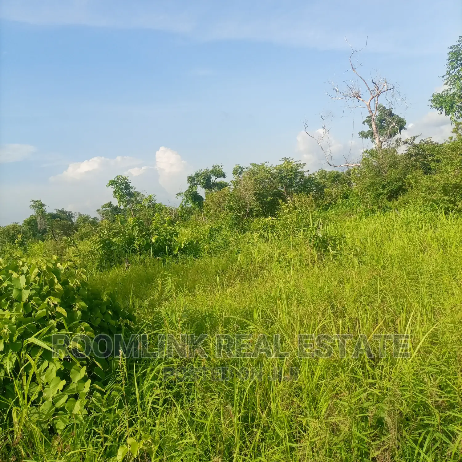 Negotiable Large Acres of Farmlands at Kintampo for Sale