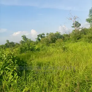 Negotiable Large Acres of Farmlands at Kintampo for Sale