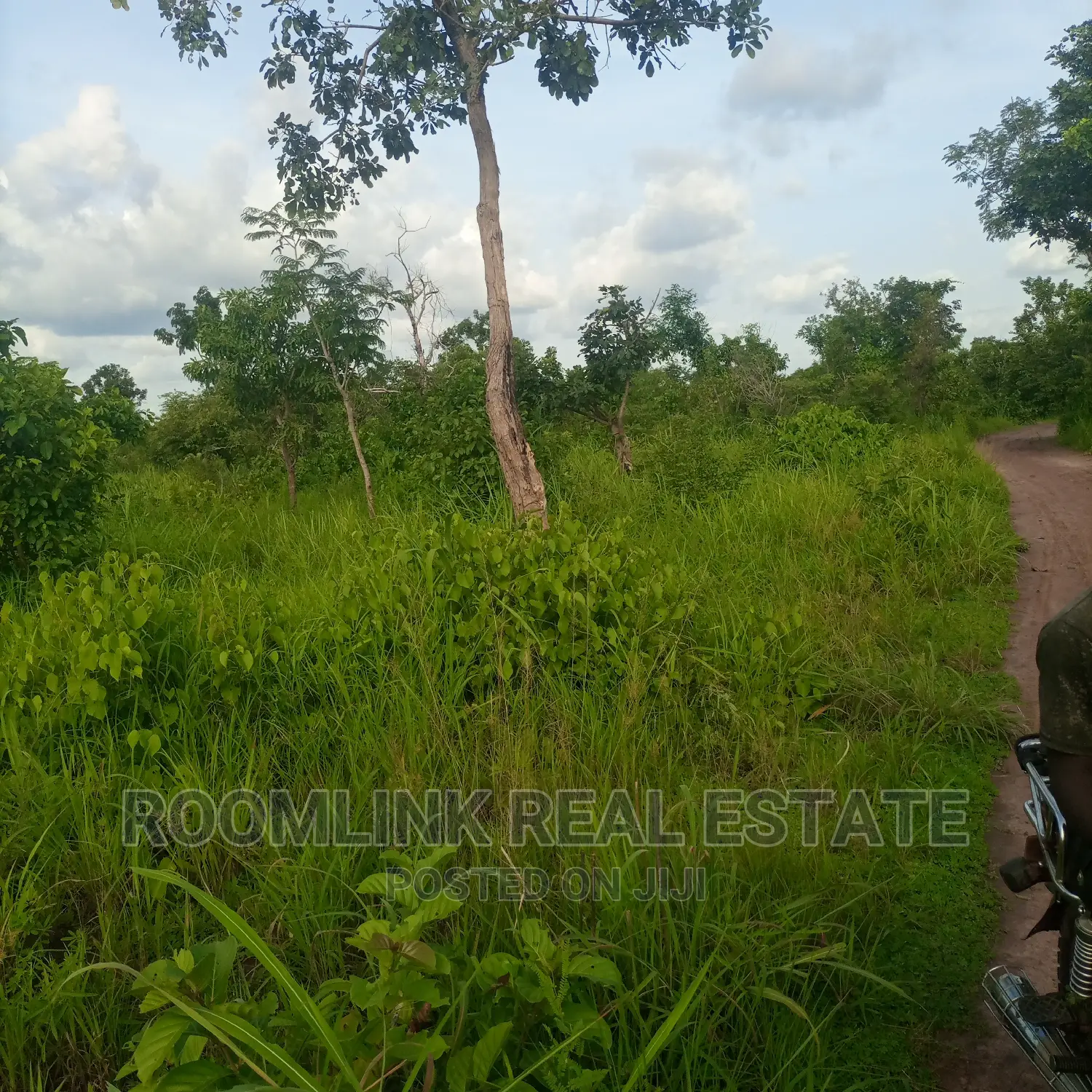 Negotiable Large Acres of Farmlands at Kintampo for Sale