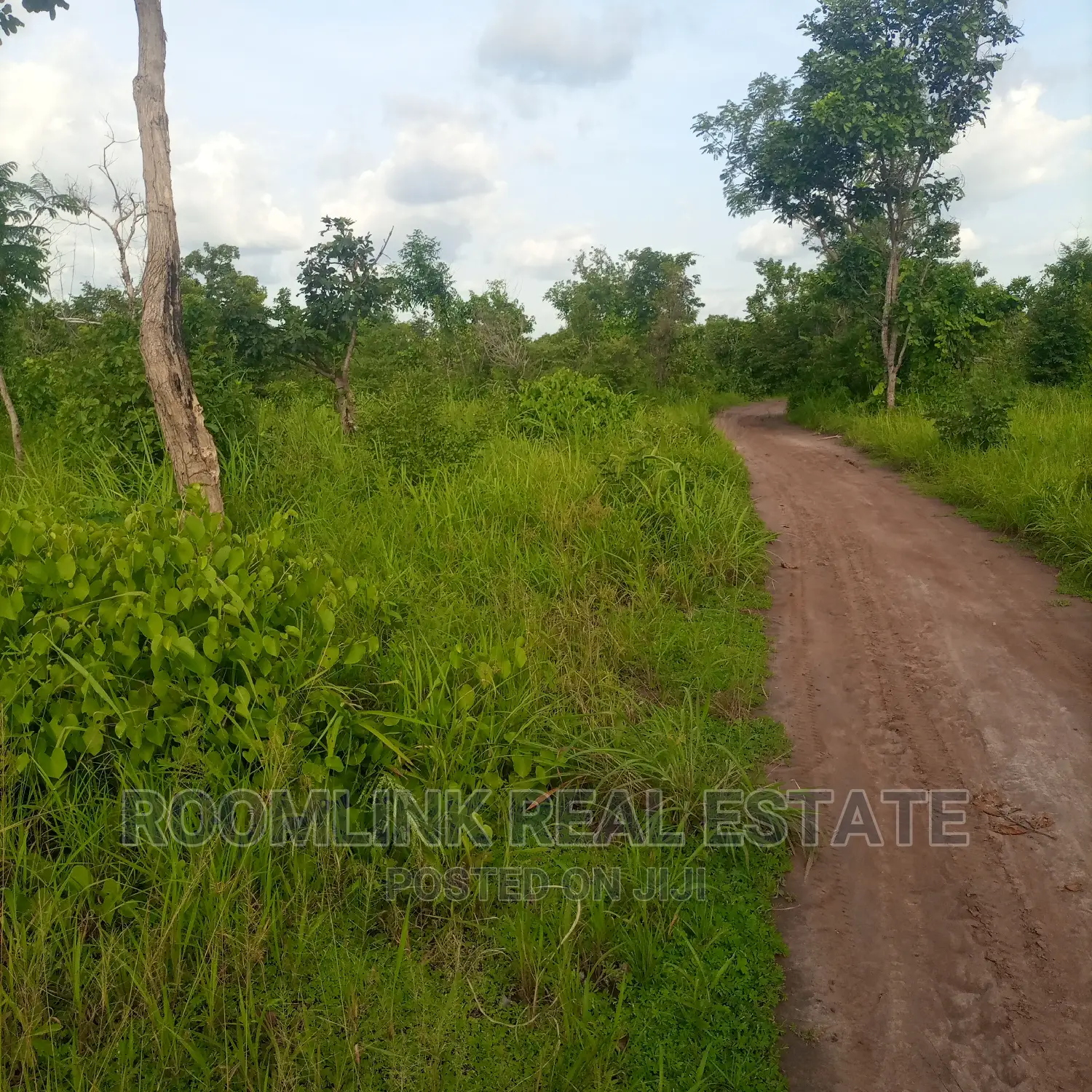 Negotiable Large Acres of Farmlands at Kintampo for Sale