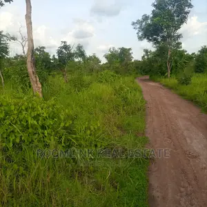 Negotiable Large Acres of Farmlands at Kintampo for Sale