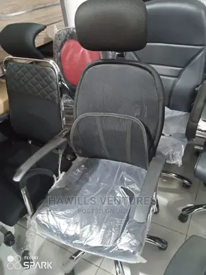Executive Mesh Chair