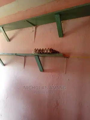 1bdrm House in Tebibiano, Teshie for rent