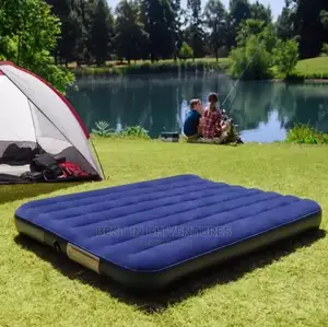 All Weather Air Mattress + Free Pump