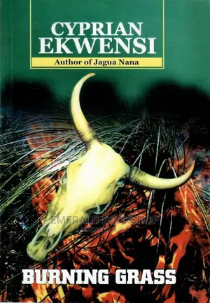 Burning Grass