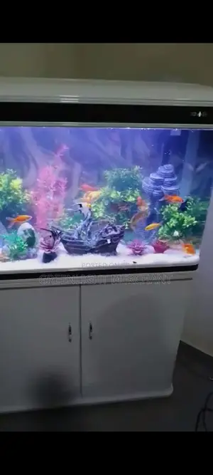 Aquarium and Accessories