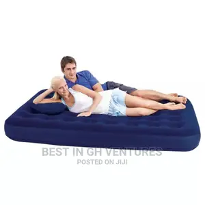 Air Mattress With Pillows + Free Pump